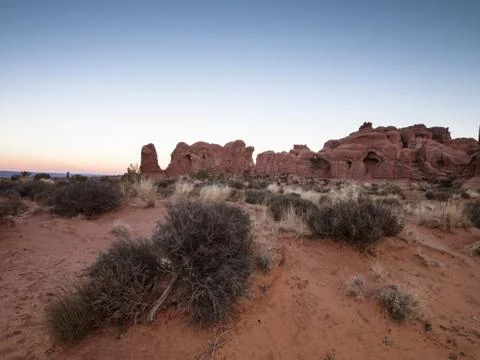 Bushes with cliffs Stock Photos