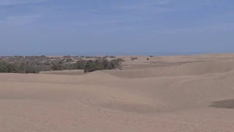 Bushes in the Desert Video stock 74334922