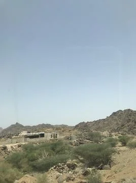 The bushes in the desert Stock Photos