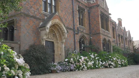 Bushes of flowers on an old building front yard. Stock Footage 117470309