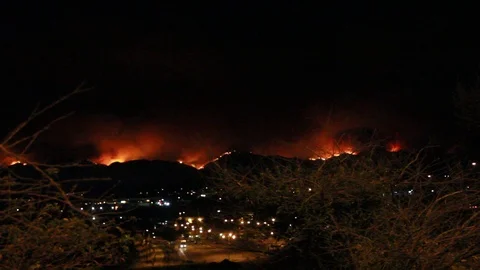 Bushes in foreground, fire the back Stock Footage 109207289