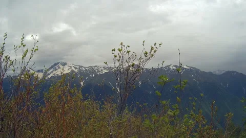 Bushes in mountains timelapse Video stock 91921616