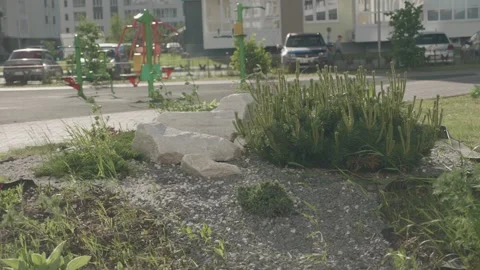 Bushes move in the yard from the wind Stock Footage 132494355