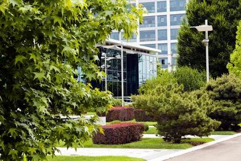 Bushes  in the park Stock Photos