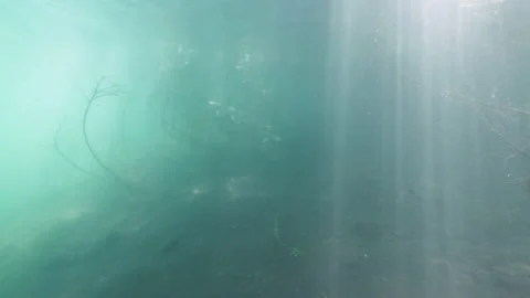 Bushes underwater on the sandy bottom with rays of light, Albano lake, Italy Stock Footage 162465438