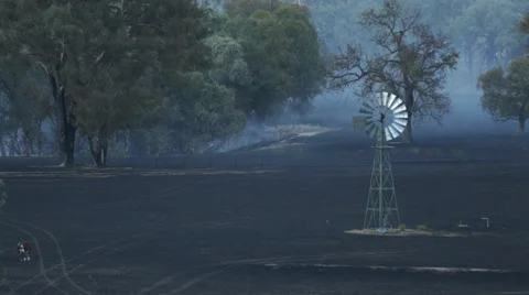 Bushfire Aftermath Vídeo Stock 45445917
