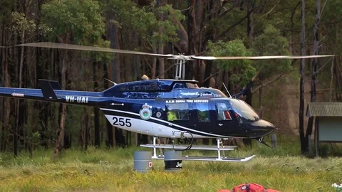 Bushfire Aftermath Stock Footage 72046132