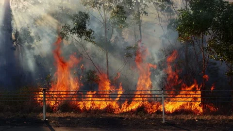 Bushfire and heavy smorke on drought season. Stock Footage 248618376