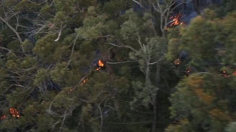Bushfire Burning Aerial Stock Footage 70593967
