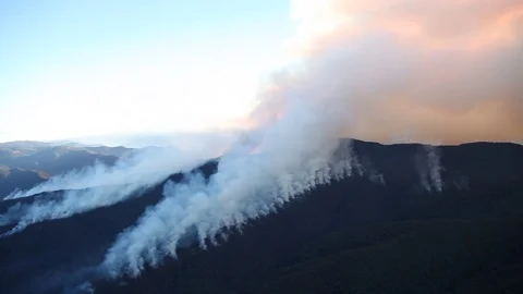 Bushfire Burning Aerial Stock Footage 72037088