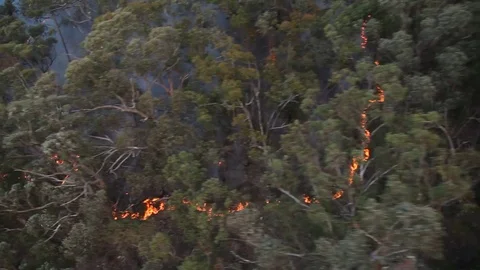 Bushfire Burning Aerial Stock Footage 72038906