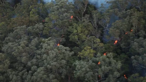 Bushfire Burning Aerial Stock Footage 72038912