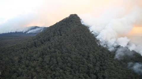 Bushfire Burning Aerial Stock Footage 72040335