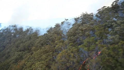 Bushfire Burning Aerial Stock Footage 72041765