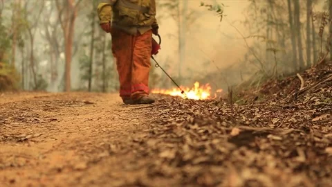 Bushfire burning fire fighting Stock Footage 72022777