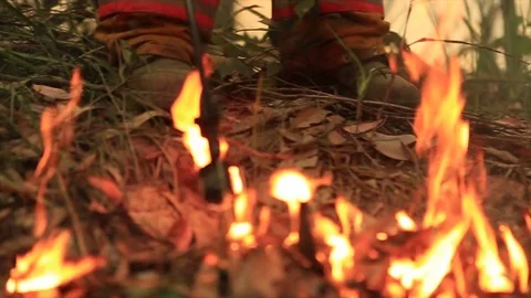 Bushfire burning fire fighting Stock Footage 72025416