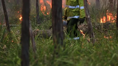Bushfire burning fire fighting Stock Footage 72028273