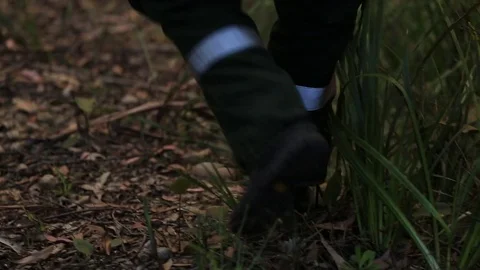 Bushfire burning fire fighting Stock Footage 72028964