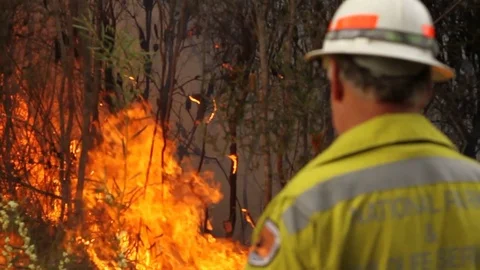 Bushfire burning fire fighting Stock Footage 72029665