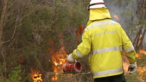 Bushfire burning fire fighting Stock Footage 72030719