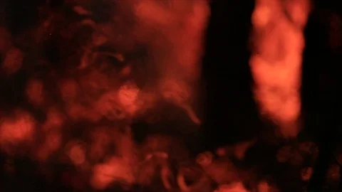 Bushfire burning fire fighting Stock Footage 72033783