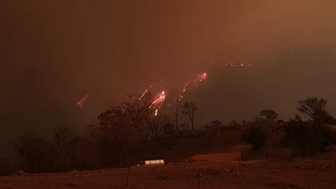 Bushfire Burns Down Mountainside Stock Footage 195281266