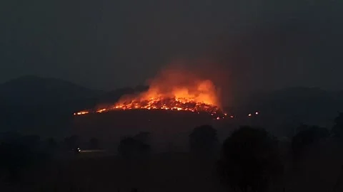 Bushfire Burns Forest On Hill Surrounded By Fire Trucks Stock Footage 195281226