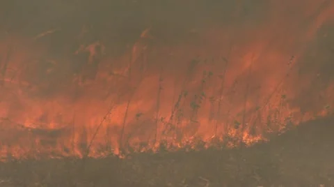 Bushfire Stock Footage 12490837