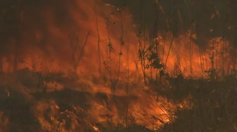 Bushfire Stockbeeldmateriaal 12492129