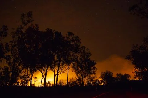 A bushfire, forest is really bright because of the fire, litchfield national  Foto stock