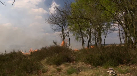 Bushfire on the Heath in the Netherlands Video stock 38365933