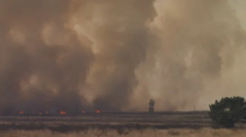 Bushfire on the Heath in the Netherlands Stock Footage 38365938