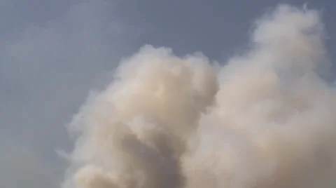 Bushfire on the Heath in the Netherlands Stock Footage 38366058