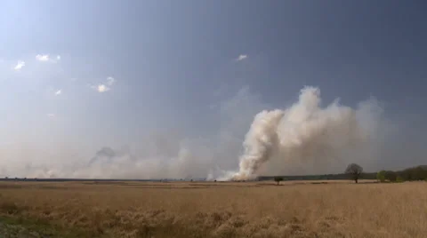 Bushfire on the Heath in the Netherlands Stock Footage 38366125