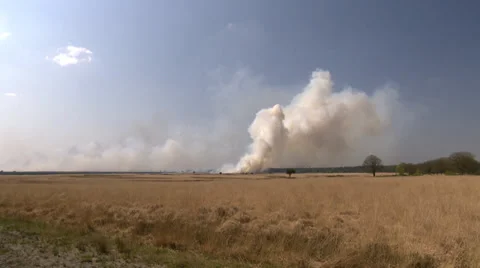 Bushfire on the Heath in the Netherlands Stock Footage 38366196
