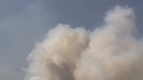 Bushfire on the Heath in the Netherlands Stock Footage 38366347