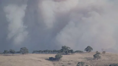 Bushfire Jan 2021 4k Stock Footage 147119442