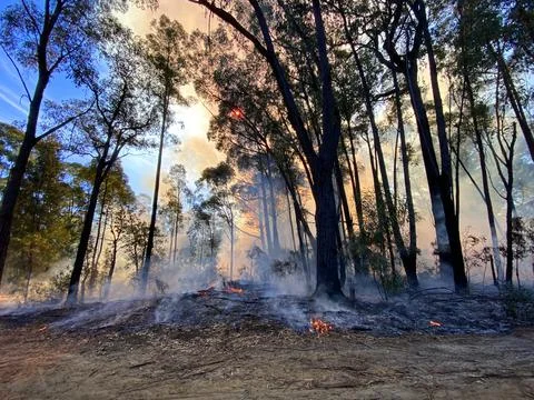 Bushfire Mitigation Burn Stock Photos