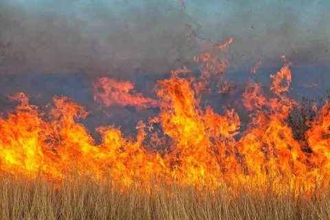 Bushfire in namibia Stock Photos