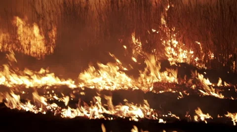 Bushfire at Night Stock Footage 51659051