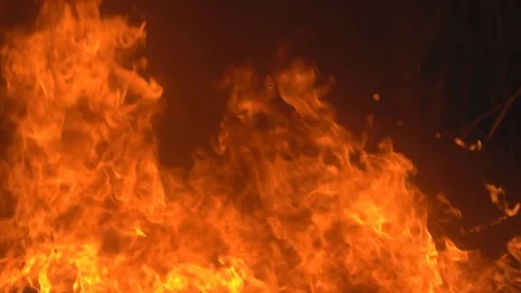 Bushfire slow motion fire flame, super slow hot power of bonfire on dark night Vídeo Stock 122894831