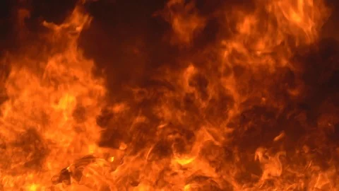 Bushfire slow motion fire flame, super slow hot power of bonfire on dark night Vidéo 122895547