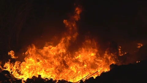 Bushfire slow motion fire flame, super slow hot power of bonfire on dark night Vídeo Stock 122895698