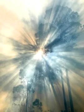 Bushfire Smoke Stock Photos
