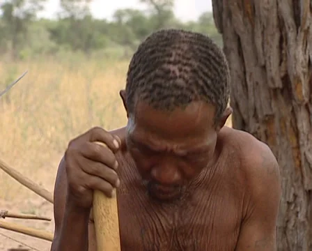 Bushman eating roots Stock Footage 36439051