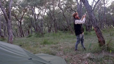 A bushman ties a rope to a gum tree while setting up a tarp for camping. Stock Footage 245336715