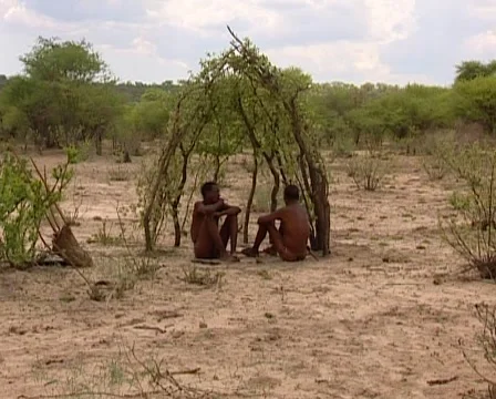 Bushmen building a hut Stock Footage 46349043