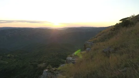 Bushveld Sunrise Stock Footage 131074302
