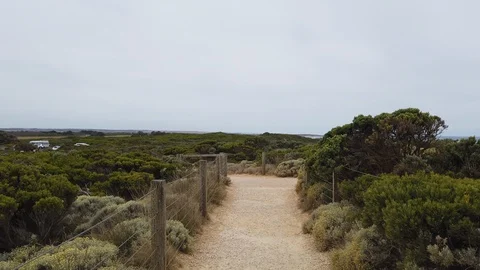 Bushwalking path Stock Footage 101924039