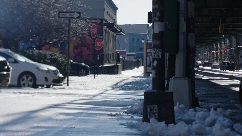 Bushwick Under Subway Stock Footage 86218876